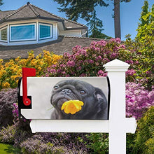 Divertente carlino cane calendula fiore 3D nero animale cassetta postale copre magnetico giardino giardino giardino decorazione casa dimensioni standard 53,3 cm x 45,7 cm