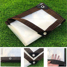 Telone e Telo Copertura Protezione Contro La Pioggia del Giardino,Multiuso Trasparente Impermeabile Tela,Tenda da Pioggia di Plastica, Inverno Antigelo PE Morbido Film per Piante (5x10m/16.4x32.8ft)