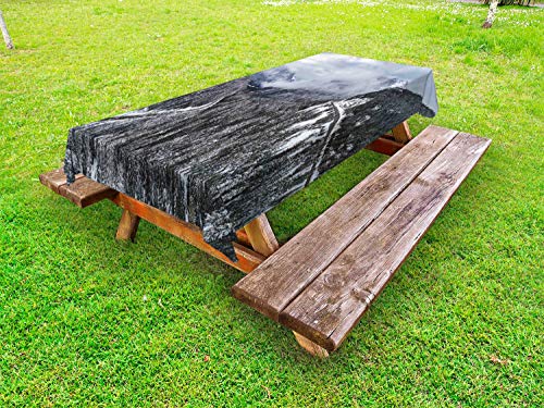 ABAKUHAUS Paesaggio Tovaglia da Esterno, Strada nella Foresta di Inverno, Tovaglia da Picnic Lavabile Decorativa, 145 cm x 210 cm, Purpleblue Evergreen