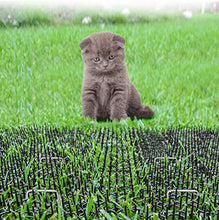 Tappetino per Gatti Tappeto per Gatti Scat con Punte appeto per Gatti Scat con Punte Umano Anti Gatto Cane Tappetini per Animali Detergente Repellente per Interni Gatto Deterrente