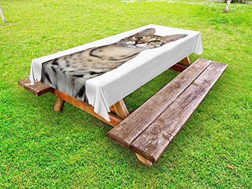 ABAKUHAUS Gattino Tovaglia da Esterno, Colpo Capo di Un Freddo Giovane Gatto, Tovaglia da Picnic Lavabile Decorativa, 145 cm x 265 cm, Scuro Marrone Sabbia Bianca