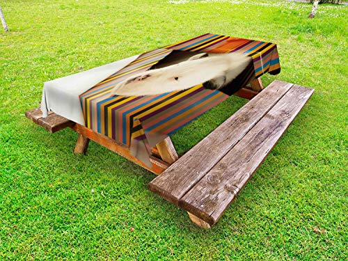 ABAKUHAUS Cucciolo Tovaglia da Esterno, Newborn Dog in Gift Box Foto, Tovaglia da Picnic Lavabile Decorativa, 145 cm x 305 cm, Multicolore