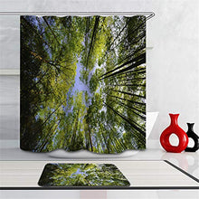 LIYAN Combinazione Bagno. Immagini Chiare E Colori Vivaci Rendono Il Tuo Bagno Pieno di Vita. Accessori da Bagno. Foresta Verde.