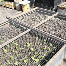 LSXIAO Anti Ruggine Rete da Giardino Rete Metallica Saldata Salsa Calda Zincato Panno Hardware Foro per Rete da 2cm con Le Pinze per Il Pollaio, Aiuola Terrazza Scatola di Immagazzinaggio