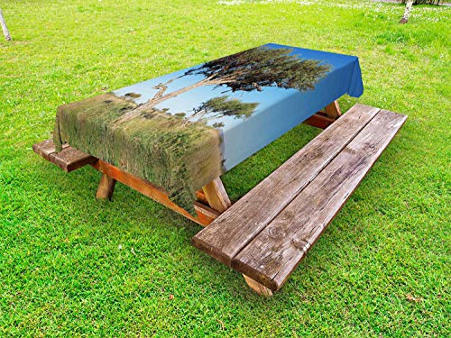 ABAKUHAUS Albero Tovaglia da Esterno, Boscia albitrunca in Grassland, Tovaglia da Picnic Lavabile Decorativa, 145 cm x 265 cm, Azzurro Blu Tan