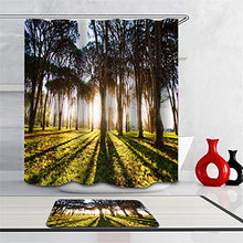 LIYAN Combinazione Bagno. Immagini Chiare E Colori Vivaci Rendono Il Tuo Bagno Pieno di Vita. Accessori da Bagno. Luce del Sole. Foresta.