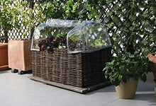 Catral Germania Città Giardino, Giardino d' Inverno di Kit Planter, Trasparente, 104 x 44 x 39 cm, 71080012