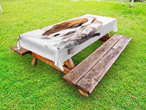 ABAKUHAUS Cane e Gatto Tovaglia da Esterno, Sniffing Animals Photo, Tovaglia da Picnic Lavabile Decorativa, 145 cm x 265 cm, Bianco Caramel Pallido Taupe
