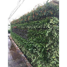 Rose piantine Borse a Parete Verticale Planter 49 Tasche Grow Bag per Cantieri Appartamenti balconi verande Verde