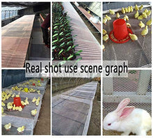 Rete di Plastica del Recinto,Proteggi Piante Frutti Fiori e Alberi e Ferma Cervi e Animali Selvatici Reti Resistenti Alla Sciabica di Protezione Scala del Balcone del Giardino Rete di Sicurezza