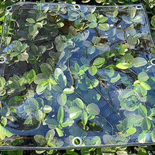 LXHONG Teloni Pieghevoli，Teloni Resistenti in PVC, Shade Garden Net per Coperture per Piante Piscina 450 Gr，Personalizzabile (Color : Chiaro, Size : 2x4m)