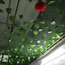 Recinzione in plastica con rete da giardino 1.2 cm Strutture di supporto per piante con foro a rete utilizzate come barriera a gabbia per polli, anatre o altri recinti per pollameparavento da esterno