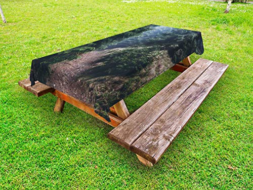 ABAKUHAUS Sempreverde Tovaglia da Esterno, Woods Misty in Europa, Tovaglia da Picnic Lavabile Decorativa, 145 cm x 265 cm, Multicolore