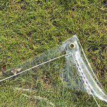 GHHZZQ Telone Copertura 0,3 mm Dick zum Innen Draussen Winddicht Staubdicht Poncho Zugfest Telone Giardino Copertura Impermeabile (Color : Clear, Size : 3x4m)