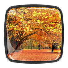 Acero d'autunno 4 PCS Pomelli per Porta, Pomolo per Mobile, Pomelli per Mobili con Viti, Maniglia per Armadietto, Pomelli per Porta, Pomelli per Cassetti per Porta, Armadio, Cassetto e Credenza
