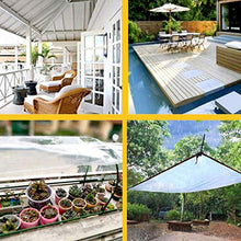 C-J-H Rain Bird Pellicola Isolante Trasparente a Prova di Esplosione deposito Attrezzi Parabrezza PE agritessuto succosa Telo tettoia Giardino,3×4m