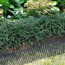chora Tappeto per Gatti Scat con Punte Umano Pet Deterrent Mat Anti-Gatti Stopper di scavo Prickle Strip Plant Rete Protettiva Gatti Tappo Rete per Giardino Esterno e Recinzione