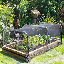 LSXIAO-Balcone Protezione Rete per Uccelli, Rete di Nylon Leggero Durevole Non Facile da Strappare Riutilizzabile Evitare Danni Alberi da Frutta, Arbusto, Fiori, Verdure (Color : Black, Size : 3x10m)