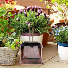 DOITOOL Polvere Pan in Acciaio Inox Palmare Spazio di Risparmio delle Famiglie Paletta Strumento di Pulizia per La Cucina di Casa da Giardino Garage Luce di Alimentazione Marrone