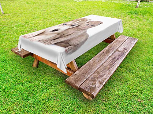 ABAKUHAUS Cane e Gatto Tovaglia da Esterno, intimità Animali, Tovaglia da Picnic Lavabile Decorativa, 145 cm x 265 cm, Bianco Taupe Caldo