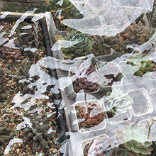MAHFEI Telone Telo Copertura, con Protezione per Angoli Telo Impermeabile Esterno Copertura Vegetale in PVC Tenere Caldo Resistente al Freddo Tenda Divisoria Impermeabile per Patio Esterno