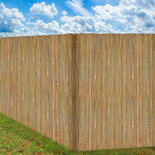 Sol Royal Frangivista frangivento di bambú per Giardino & balconi SolVision B89 100x300 cm Protezione Naturale Privacy