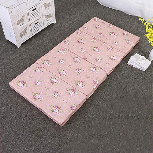 Nileco Materasso Pieghevole con Coperchio Lavabile,Addensare Coprimaterasso Single Tatami Tappetino Pieghevole Four Seasons Coprimaterasso-a 120x200cm(47x79inch)