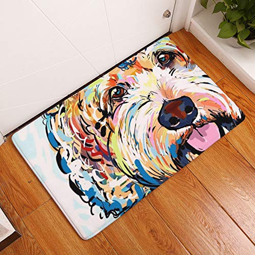 LZYMLG Creative Welcome Home Ingresso Tappeto Tappeto Antiscivolo Cucina zerbino Tappetino da Bagno Tappeto per Esterni 12 50x80cm